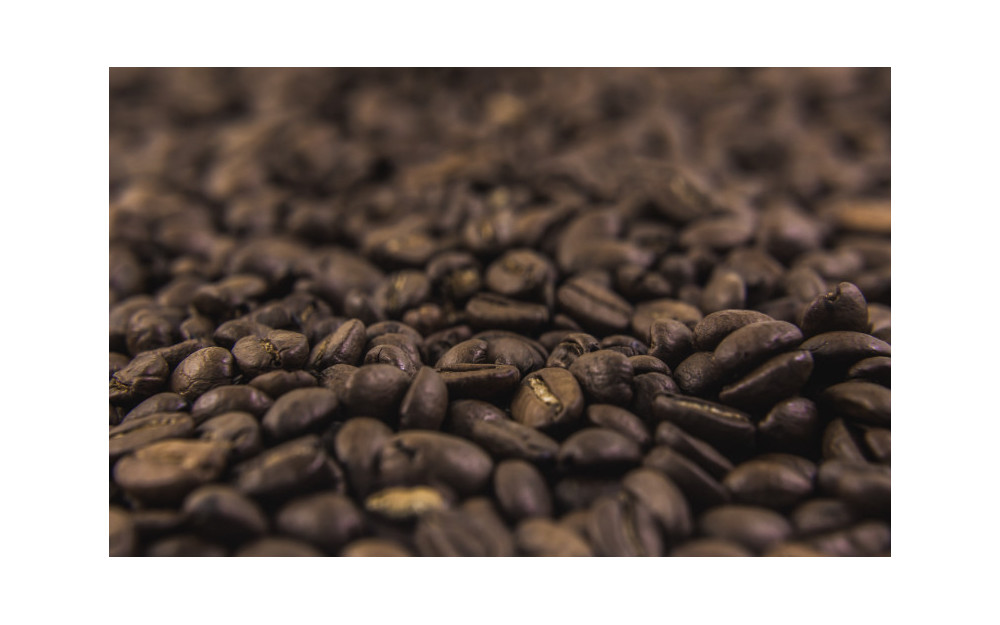 Morbi condimentum molestie Nam enim odio sodales