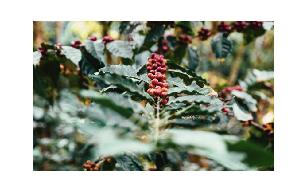 Turpis at eleifend leo mi elit Aenean porta ac sed faucibus